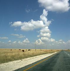 090509_South_Africa 032